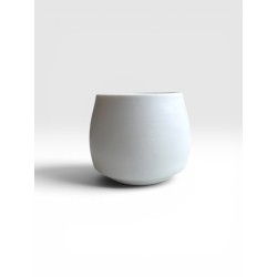 224 tasse sensorielle