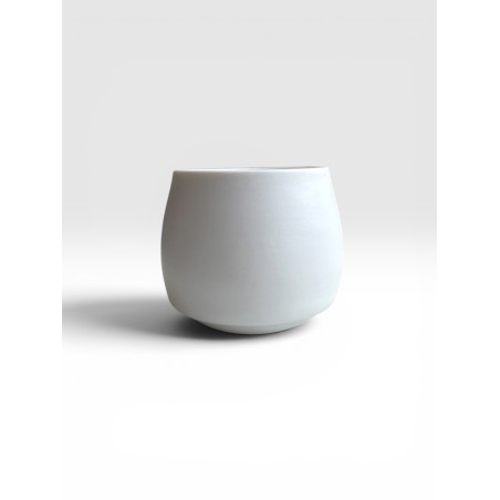 224 tasse sensorielle