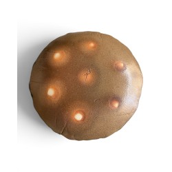Shinsuke Iwami Grande assiette