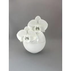 Bonbonnière  orchidées