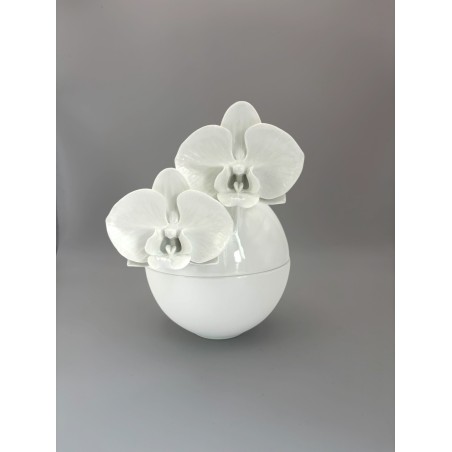 Bonbonnière  orchidées