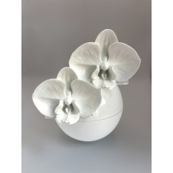 Bonbonnière  orchidées