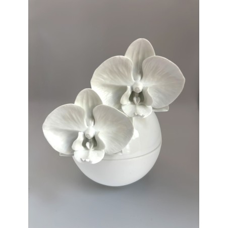 Bonbonnière  orchidées