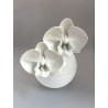 Bonbonnière  orchidées