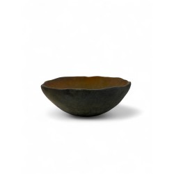 Dairoku bol L