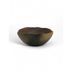 Dairoku Bol S