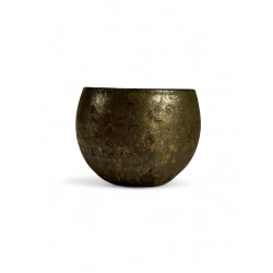 Masaaki Ito Tasse S