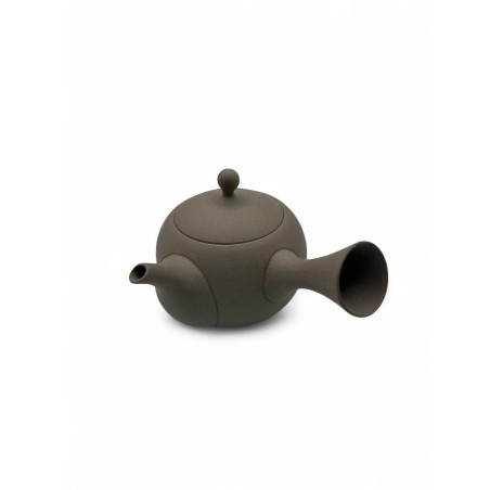 Jinsui Iroiro1 gris