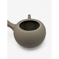 Jinsui Iroiro1 gris