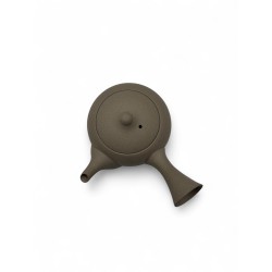 Jinsui Iroiro1 gris