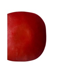 20_Hiroyuki Matsui assiette laquee