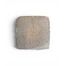 Kota Tanaka assiette